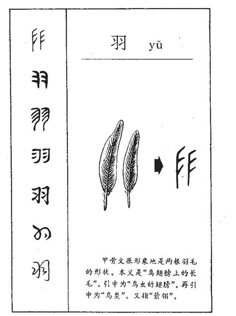 羽字